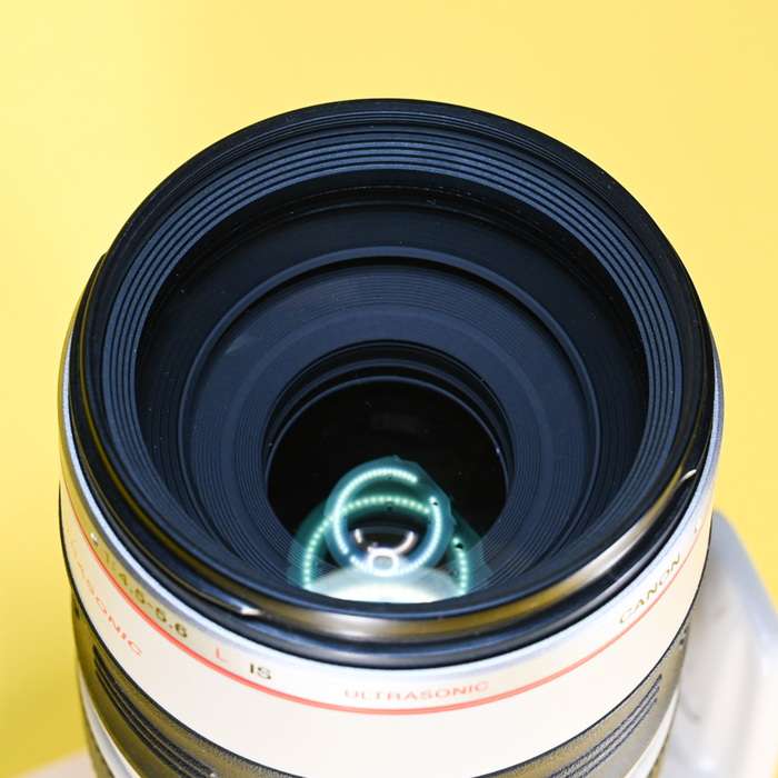 Canon EF 100-400mm f/4,5-5,6L IS USM | 500464