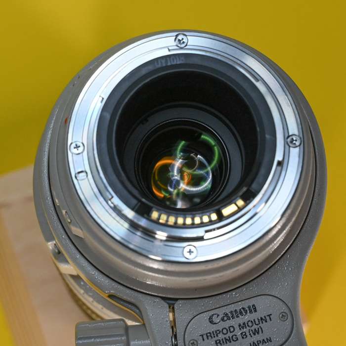 Canon EF 100-400mm f/4,5-5,6L IS USM | 500464