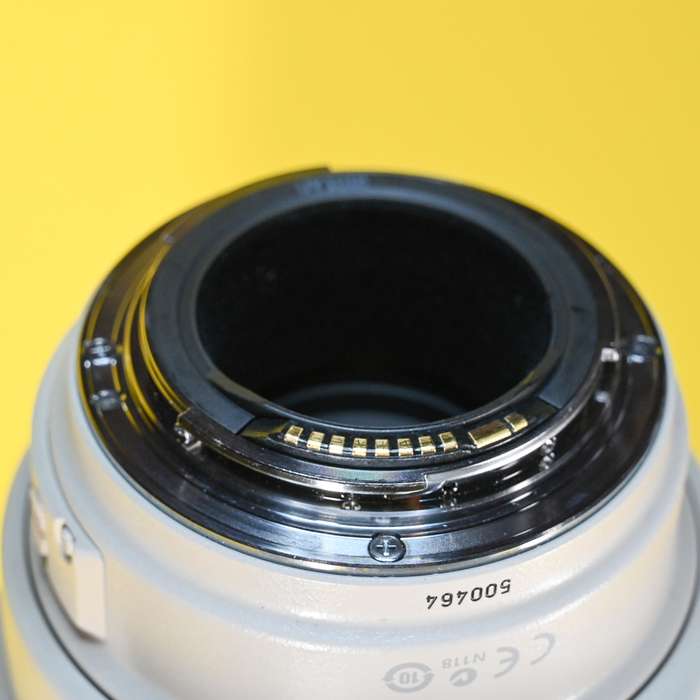 Canon EF 100-400mm f/4,5-5,6L IS USM | 500464