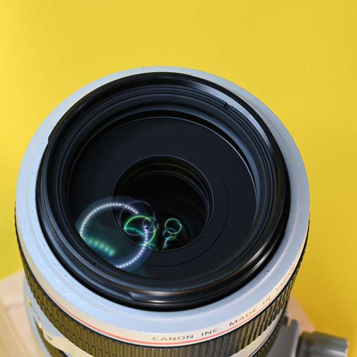 Canon EF 70-300 mm f/4,0-5,6 L IS USM | 7940002445