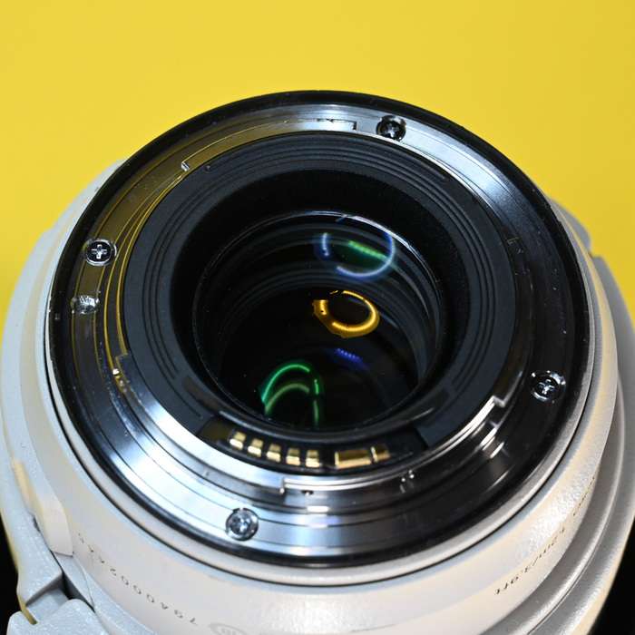 Canon EF 70-300 mm f/4,0-5,6 L IS USM | 7940002445