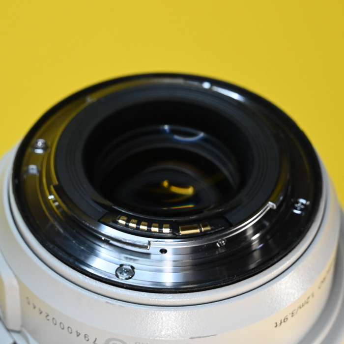 Canon EF 70-300 mm f/4,0-5,6 L IS USM | 7940002445