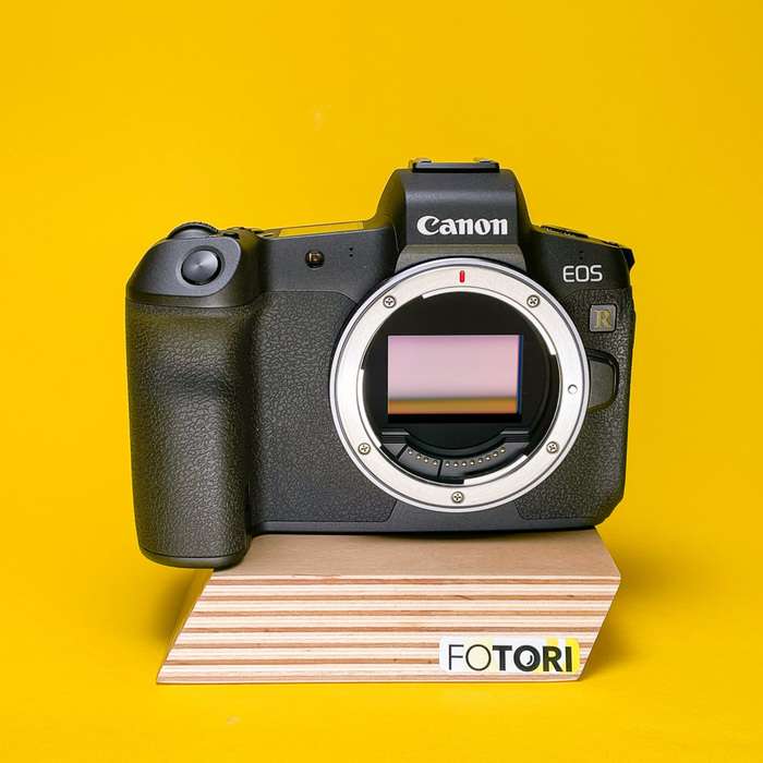 Set Canon EOS R + RF 24-105 mm f/4-7,1 IS STM + grip BG-E22