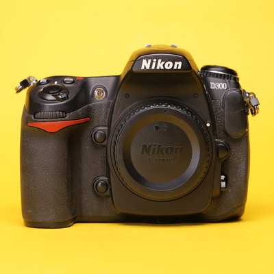 Nikon D300 | 4112062