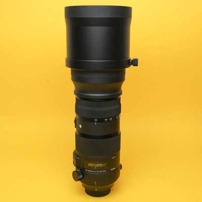 Sigma 150-600/5-6.3 DG OS HSM Sports Nikon F | 53427778