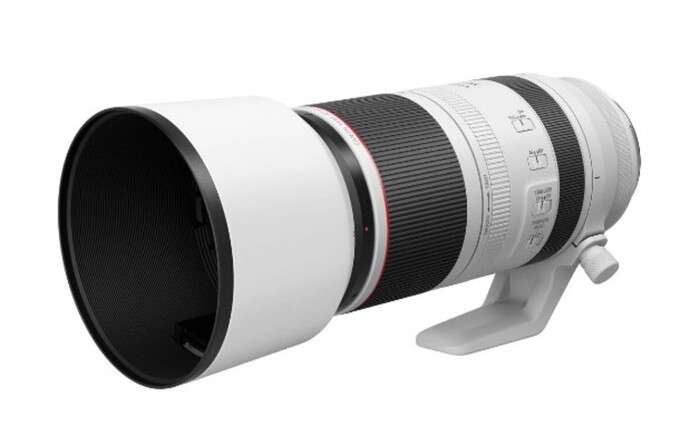 Canon RF 100-500 mm f/4,5-7,1 L IS USM