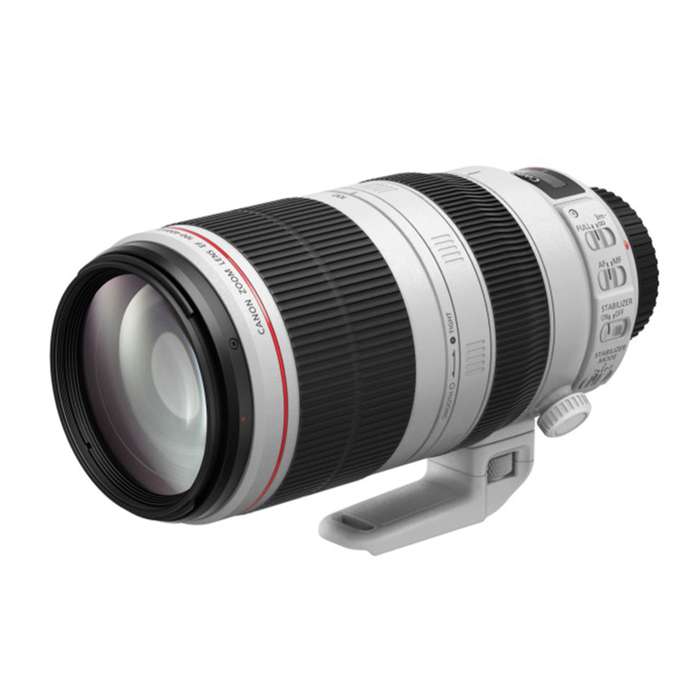 Canon EF 100-400 mm f/4,5-5,6 L IS II USM