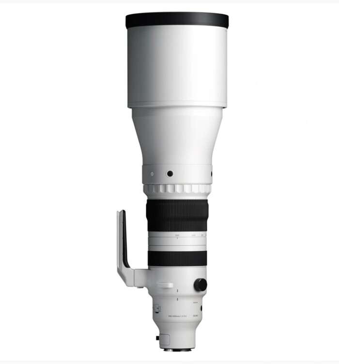 SIGMA 300-600 mm f/4 DG OS Sports  - adaptovaná pro Nikon