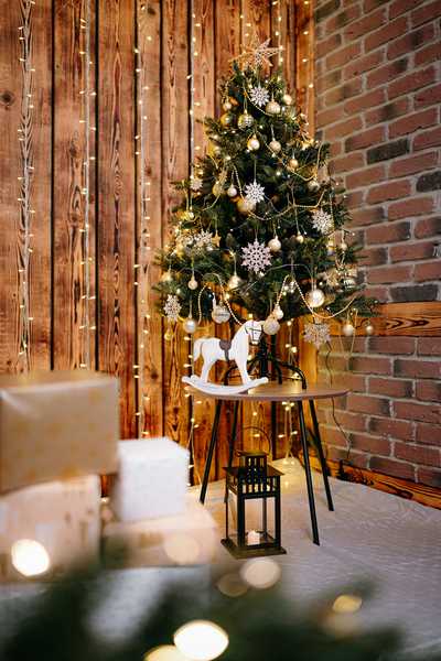 Vánoční fotokoutek - ateliér