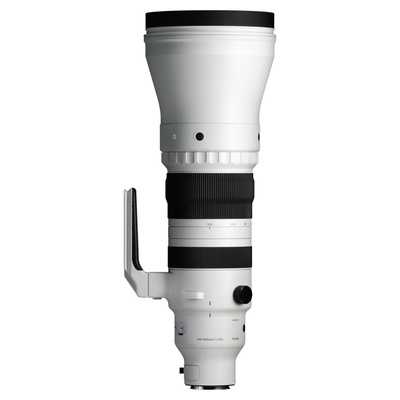 SIGMA 300-600 mm f/4 DG OS Sports  - adaptovaná pro Nikon