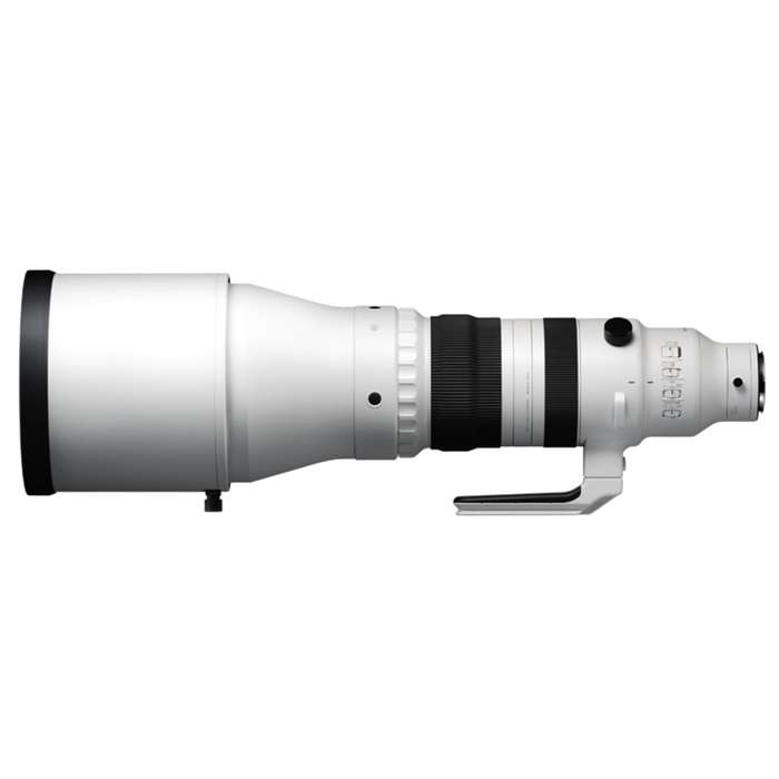 SIGMA 300-600 mm f/4 DG OS Sports pro Sony E