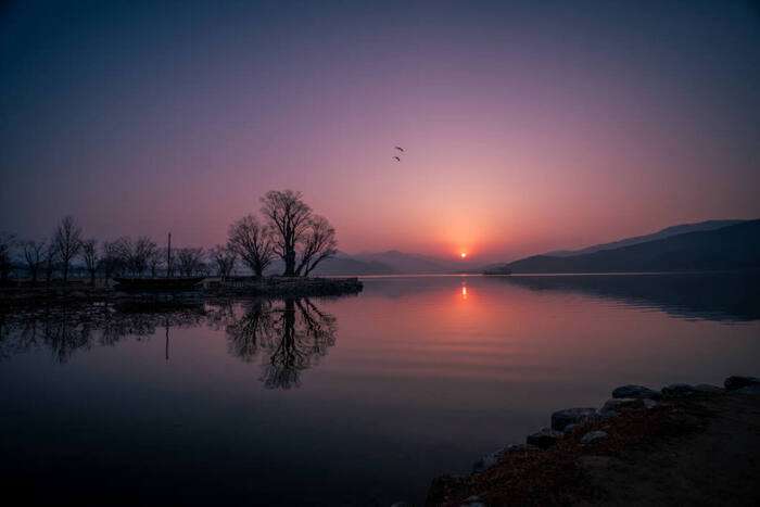 Samyang  AF 14-24mm F/2.8 Sony FE