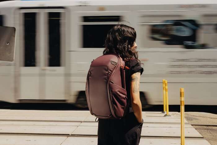 Everyday Backpack 15L Zip v2 Eclipse