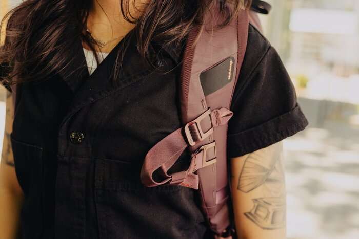 Everyday Backpack 20L Zip v2 Eclipse