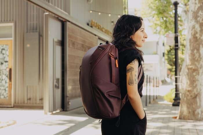 Everyday Backpack 20L Zip v2 Eclipse