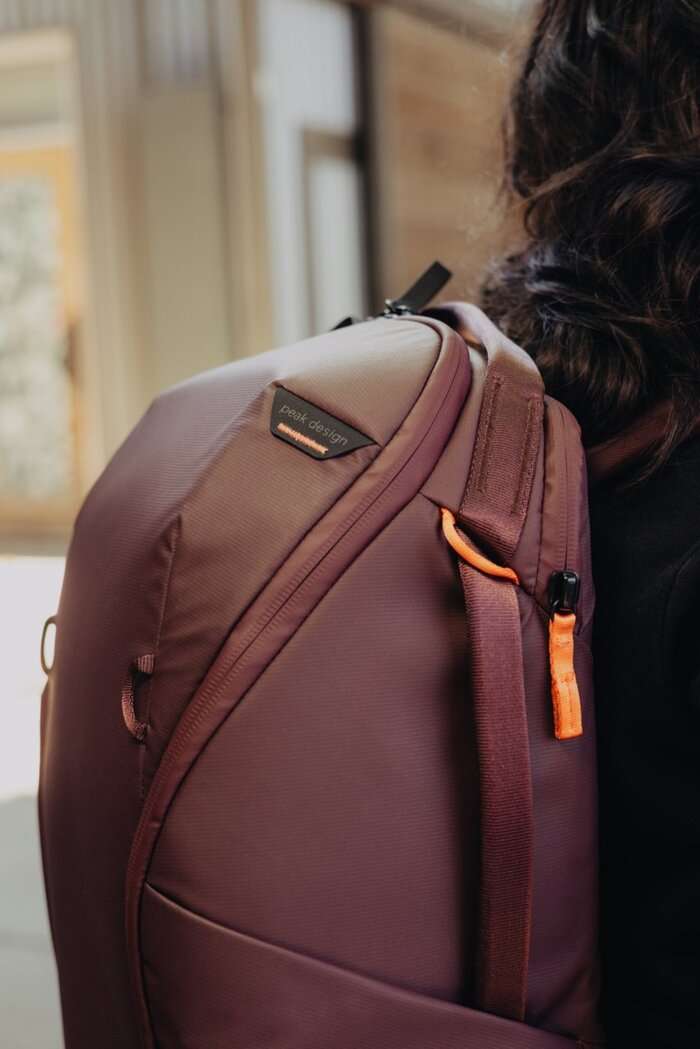 Everyday Backpack 20L Zip v2 Eclipse