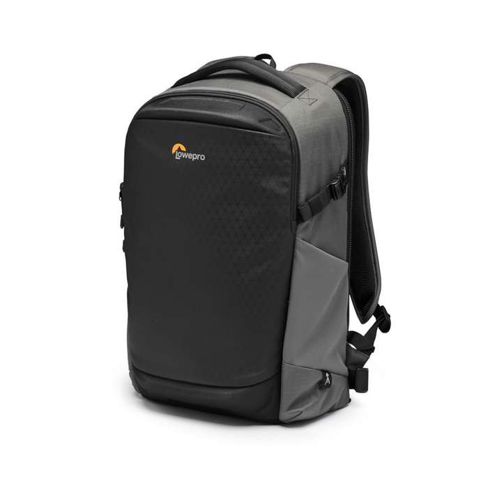 Lowepro Flipside BP 300 AW III(Dark gr) | LP37351-PWW