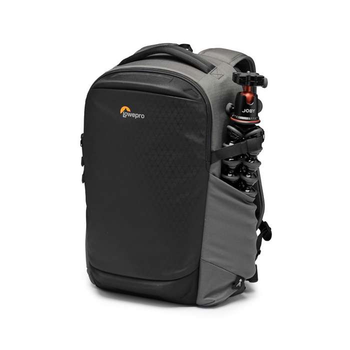 Lowepro Flipside BP 300 AW III(Dark gr) | LP37351-PWW