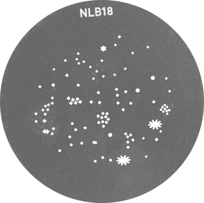 GOBO Set 2 pro PJ-BM-19/36 | Pro bowens projektor