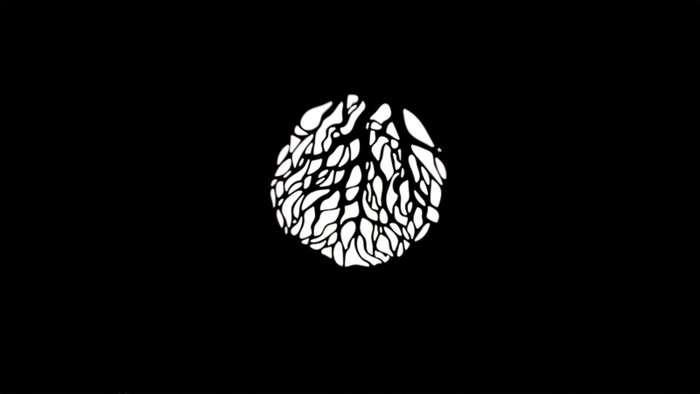 Nanlite  PJ-BM-19 Projector  Mount | bowens projektor